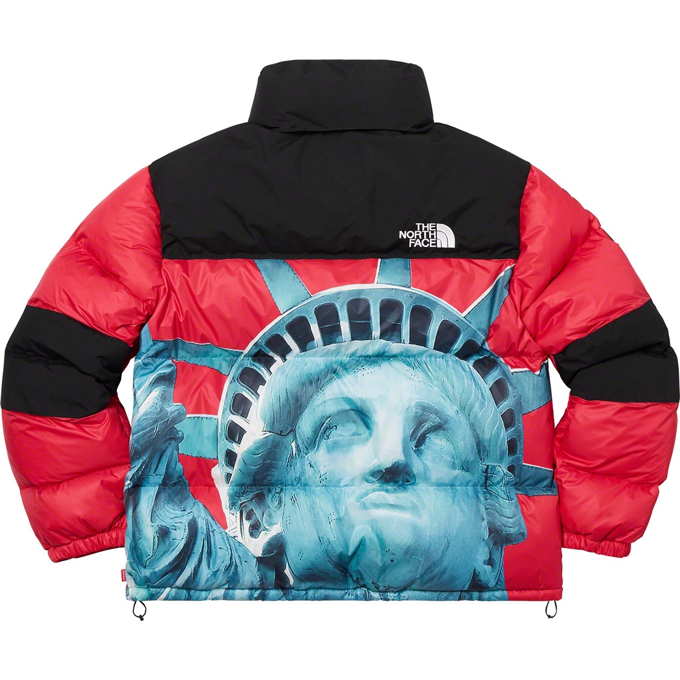 Supreme®/The North Face® Statue of Liberty Baltoro Jacket view 10
